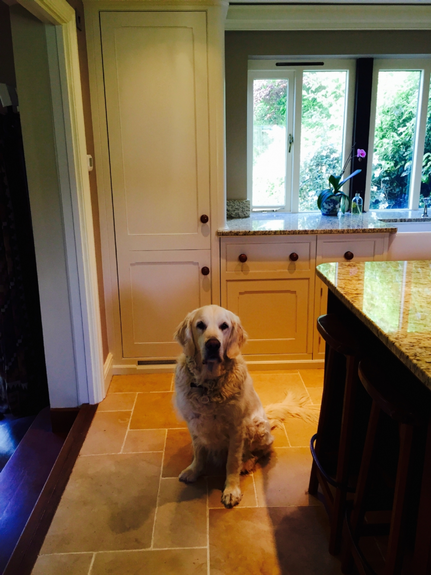 Hand Painted Kitchen Ombersley - Worcestershire Hand Painted Kitchen Ombersley - Worcestershire