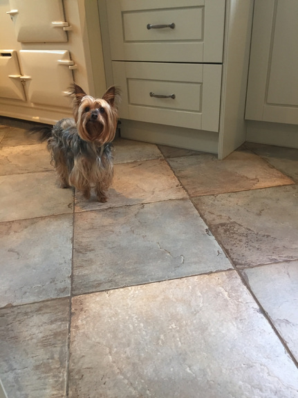 Hand Painted Kitchen Lower Broadheath - Worcestershire Hand Painted Kitchen Lower Broadheath - Worcestershire